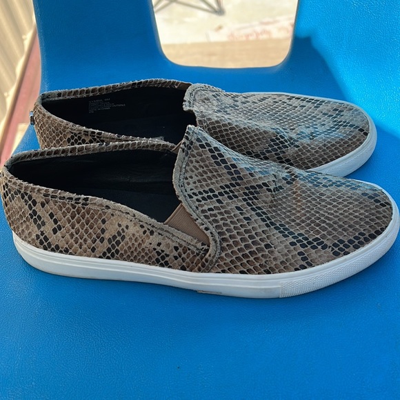 Steve Madden - Picture 3 of 8